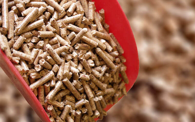 Biomass Pallets