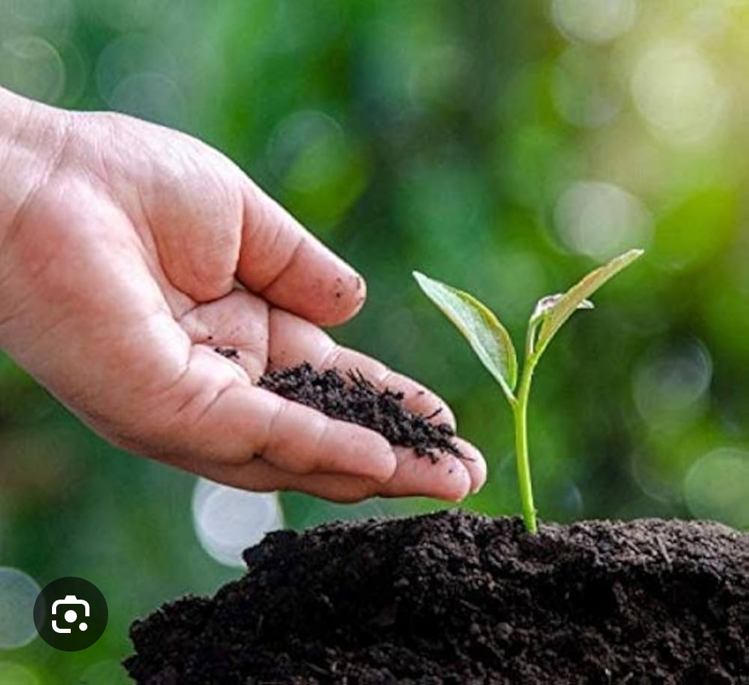 Premium Organic Vermicompost Fertilizer